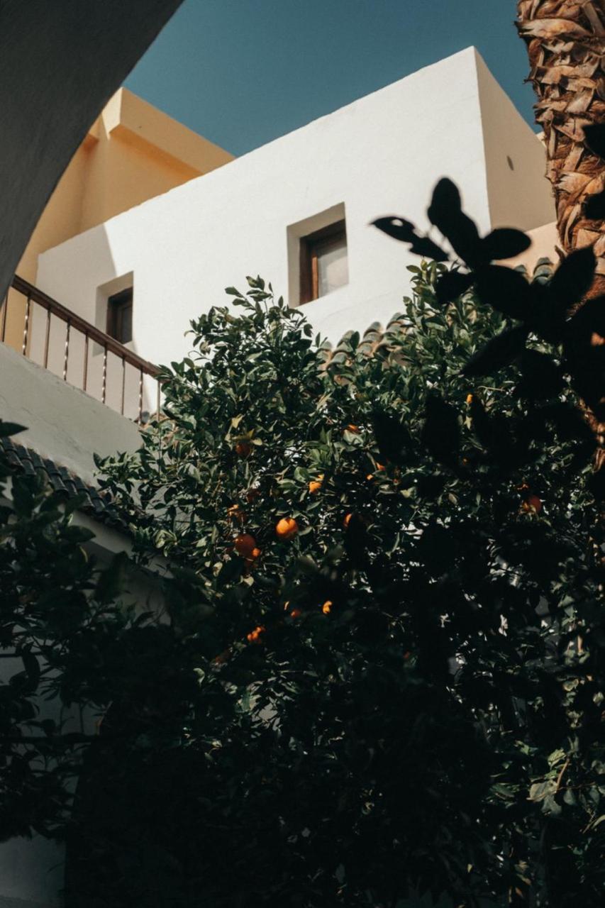 Nosade Venue Bed & Breakfast มาร์ราเกช ภายนอก รูปภาพ